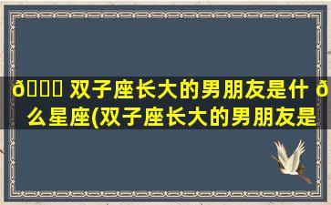 🐘 双子座长大的男朋友是什 🐴 么星座(双子座长大的男朋友是什么星座的人)